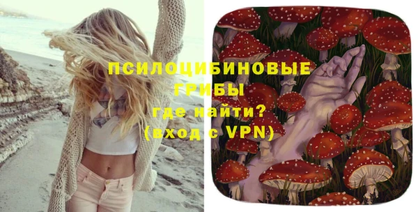 амф Абаза