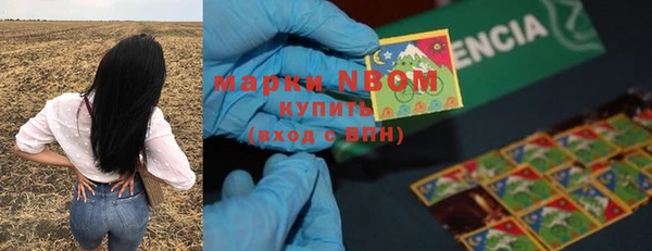 амф Абаза