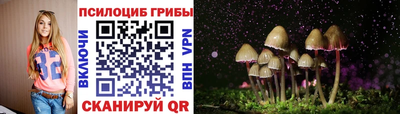 наркошоп  Азнакаево  гидра ТОР  Галлюциногенные грибы Magic Shrooms 
