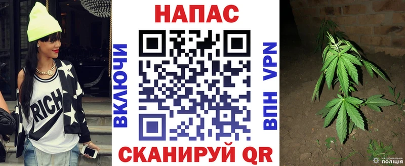 Конопля марихуана  Азнакаево 